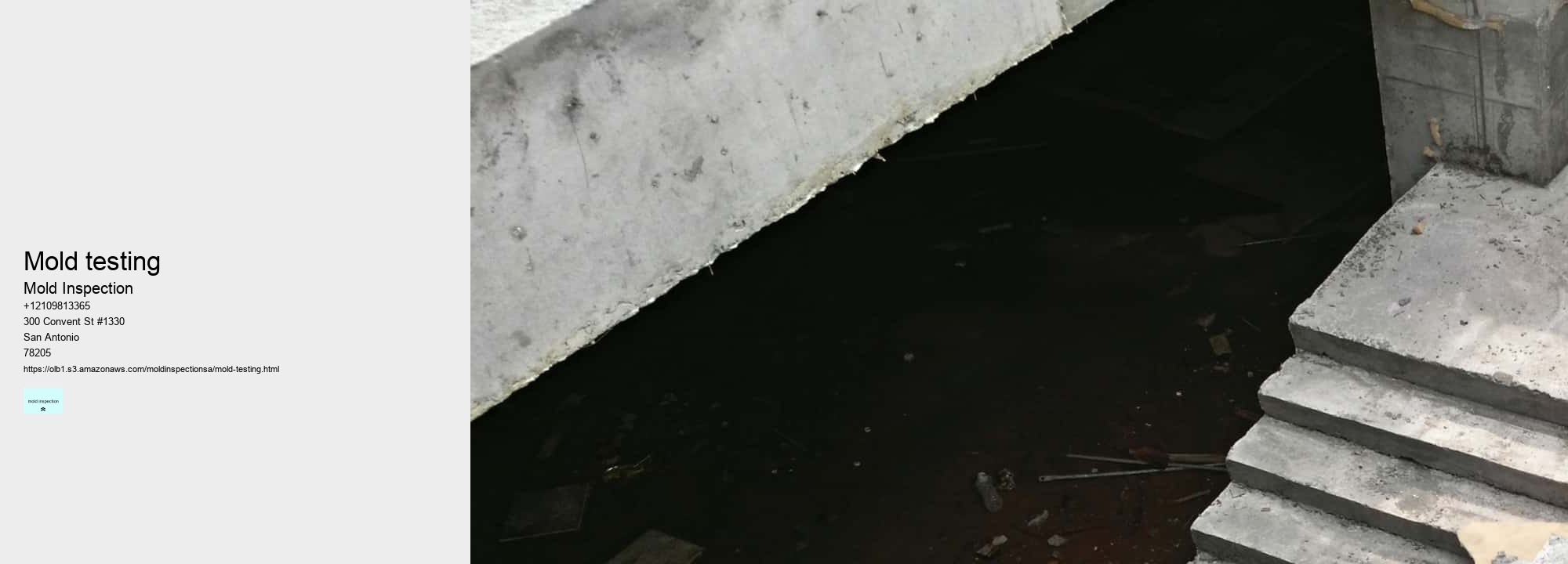 How to Catch a Hidden Mold Infestation Before It's Too Late